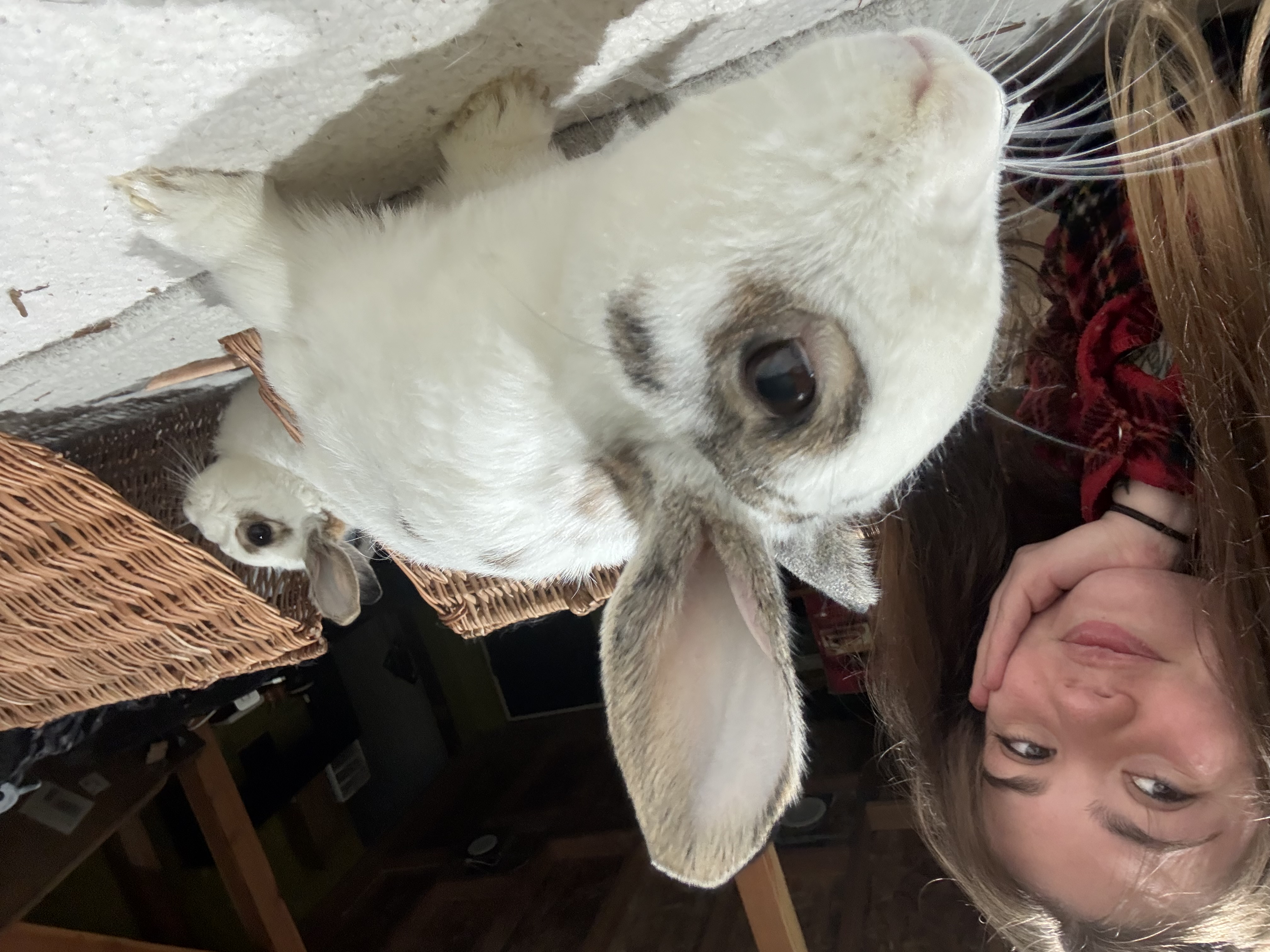 Brittany, founder of Brittany's Apothecary